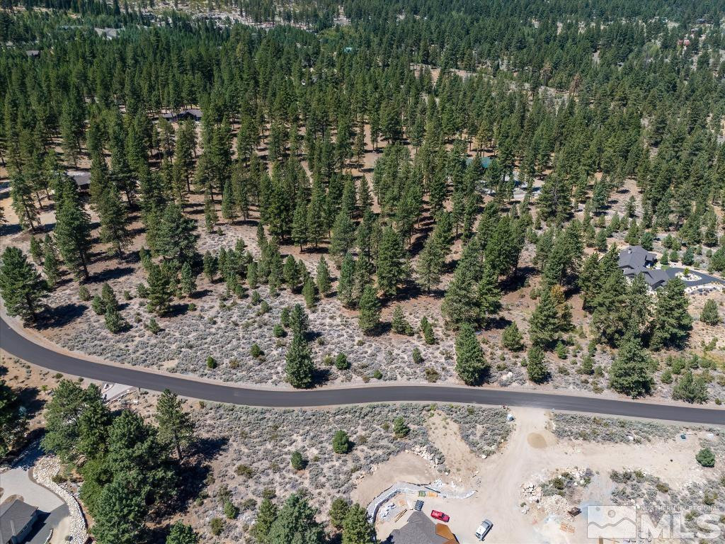 87 Five Creek Road Gardnerville, NV 89460 - Photo 23 of 40 a view of a bird bath