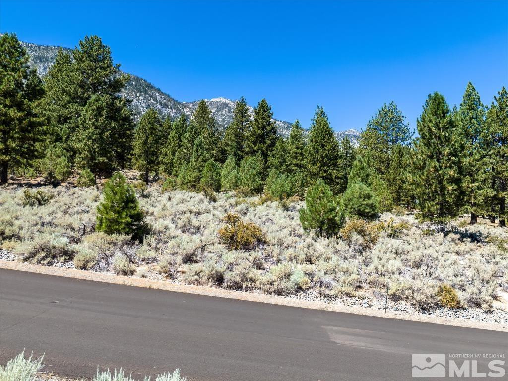 87 Five Creek Road Gardnerville, NV 89460 - Photo 25 of 40 a view of a yard with a tree