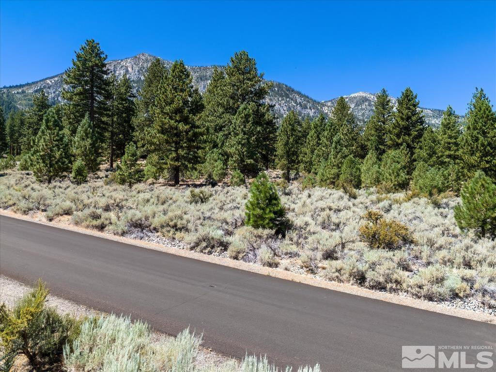 87 Five Creek Road Gardnerville, NV 89460 - Photo 26 of 40 a view of a wooden floor with a yard