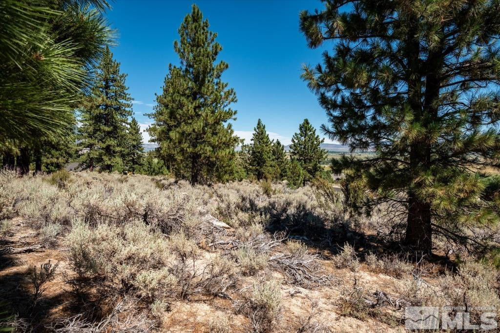 87 Five Creek Road Gardnerville, NV 89460 - Photo 29 of 40 a view of a dry yard