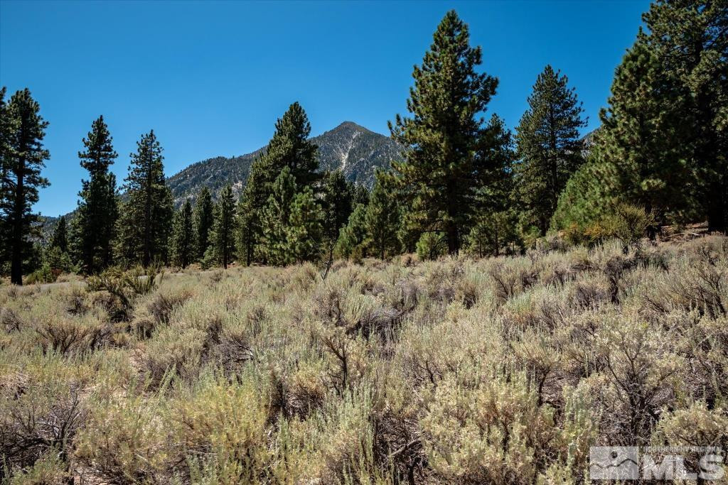 87 Five Creek Road Gardnerville, NV 89460 - Photo 30 of 40 a view of a dry yard