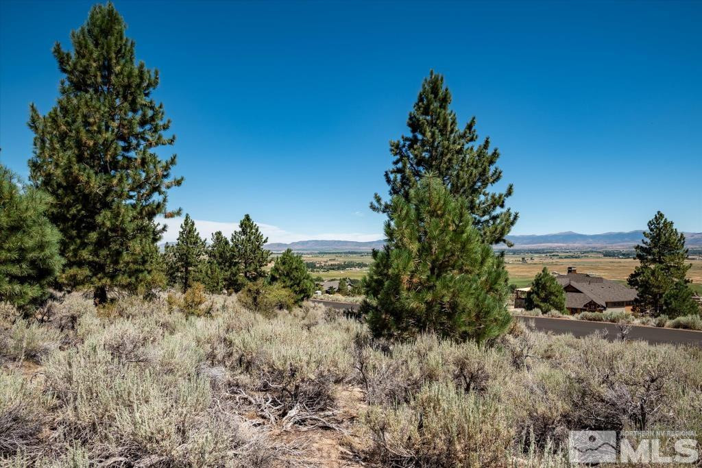 87 Five Creek Road Gardnerville, NV 89460 - Photo 31 of 40 a plant is sitting in middle of tall green field