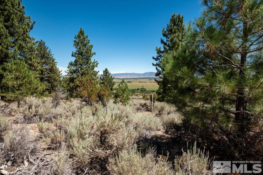 87 Five Creek Road Gardnerville, NV 89460 - Photo 32 of 40 a view of a yard