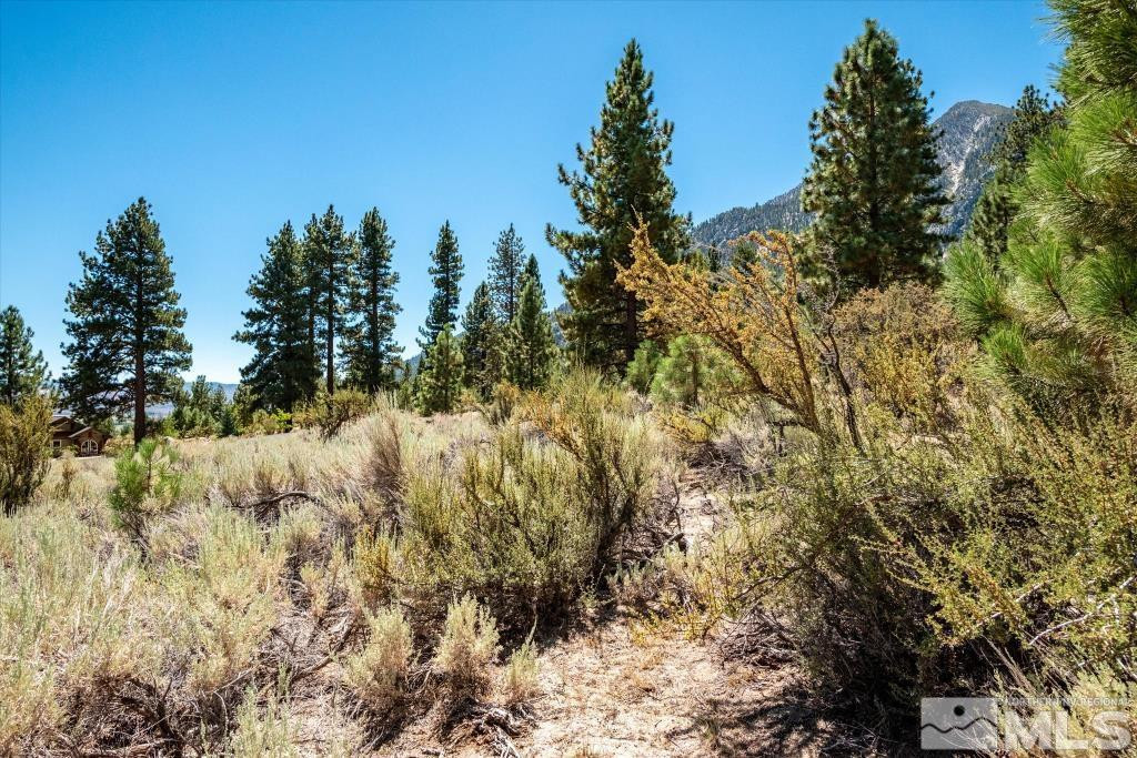 87 Five Creek Road Gardnerville, NV 89460 - Photo 33 of 40 a view of a yard