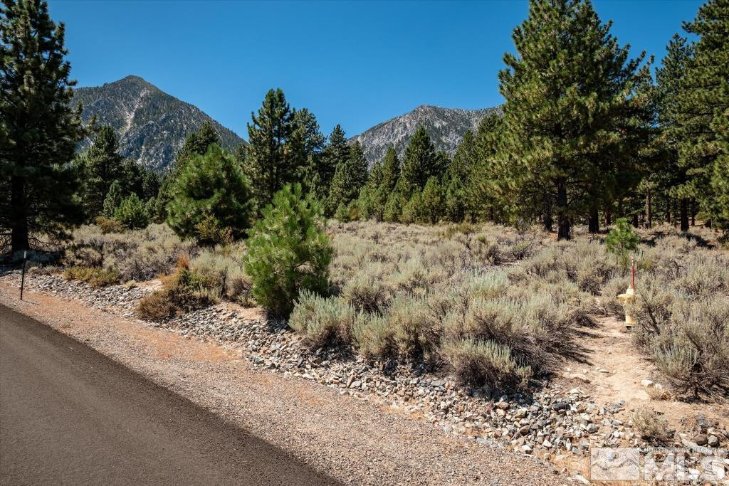 87 Five Creek Road Gardnerville, NV 89460 - Photo 35 of 40 a view of a dry yard with trees in the background