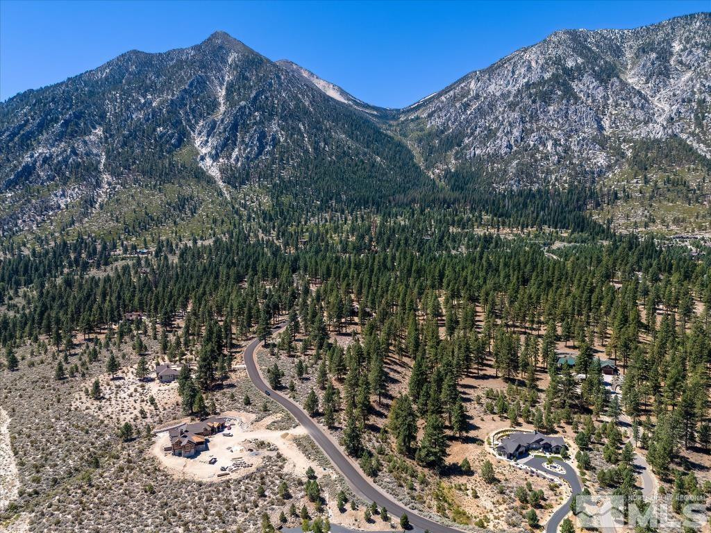 87 Five Creek Road Gardnerville, NV 89460 - Photo 5 of 40 a view of a forest with a mountain in the background