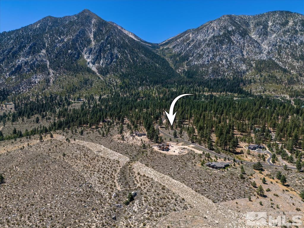 87 Five Creek Road Gardnerville, NV 89460 - Photo 6 of 40 a backyard of a house with a yard and mountain view in back