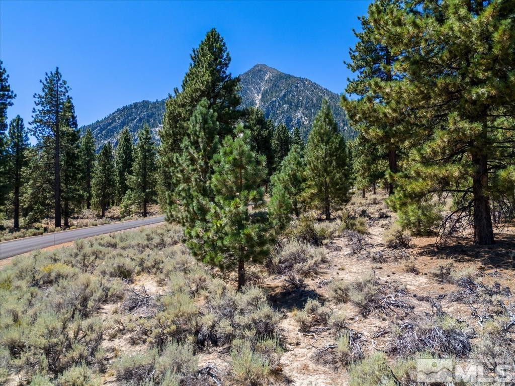 87 Five Creek Road Gardnerville, NV 89460 - Photo 8 of 40 a view of a forest with trees in the background