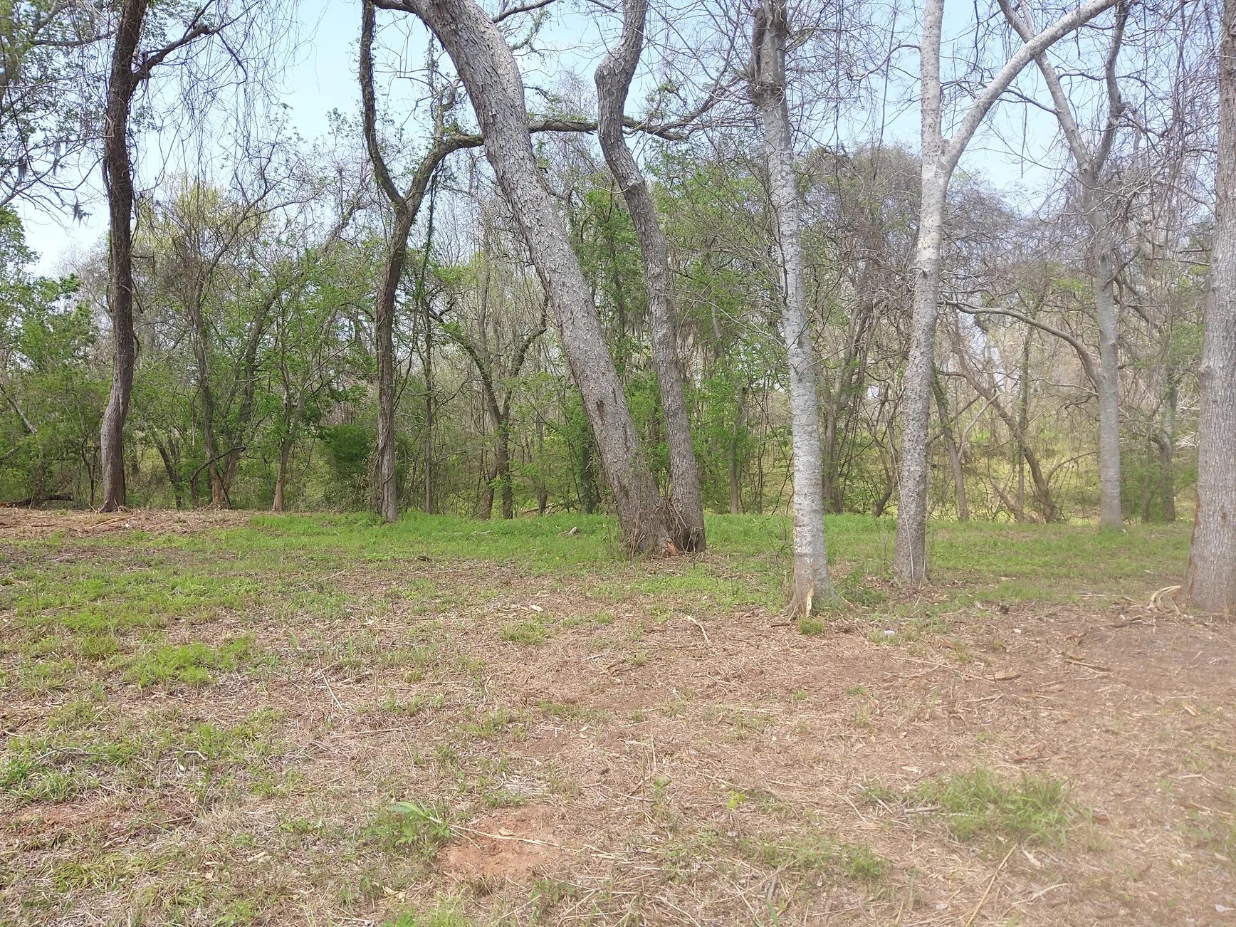 Lot 1 FM 521 Road Angleton, TX 77515 - Photo 16 of 34