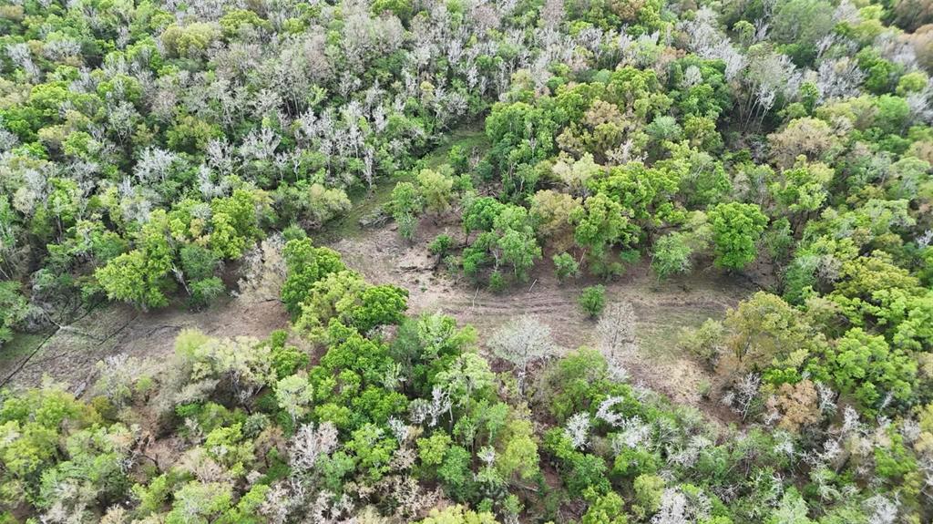 Gillette Road Zolfo Springs, FL 33890 - Photo 67 of 86 Gallery Image 67