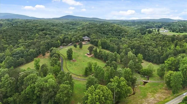a view of a lush green forest with lots of trees