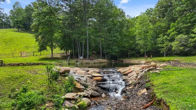 a view of a garden with a tree