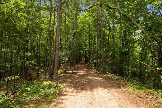 a view of outdoor space and yard