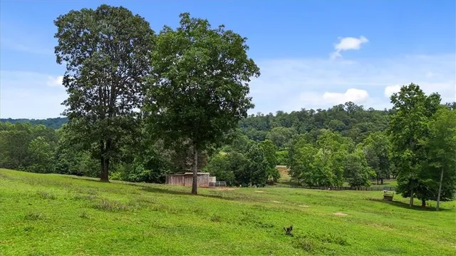 a backyard of a house with a yard and outdoor seating