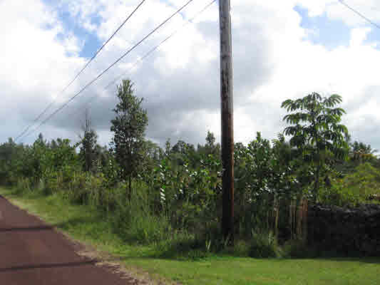 15-1500 Loke Road Keaau, HI 96749 - Photo 1 of 5 Gallery Image 1