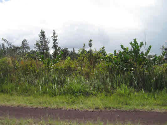 15-1500 Loke Road Keaau, HI 96749 - Photo 2 of 5 Gallery Image 2