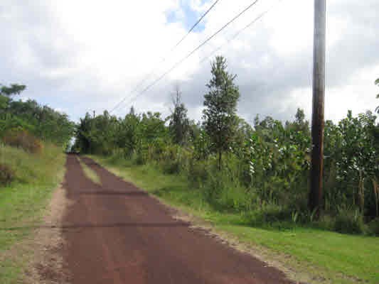 15-1500 Loke Road Keaau, HI 96749 - Photo 4 of 5 Gallery Image 4