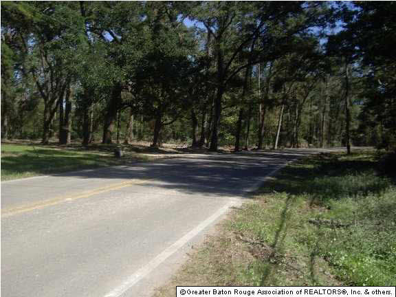 917 South River Road Denham Springs, LA 70726 - Photo 2 of 6 Gallery Image 2