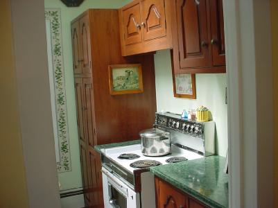 390 Rutt Road Bangor, PA 18013 - Photo 3 of 5 Kitchen
