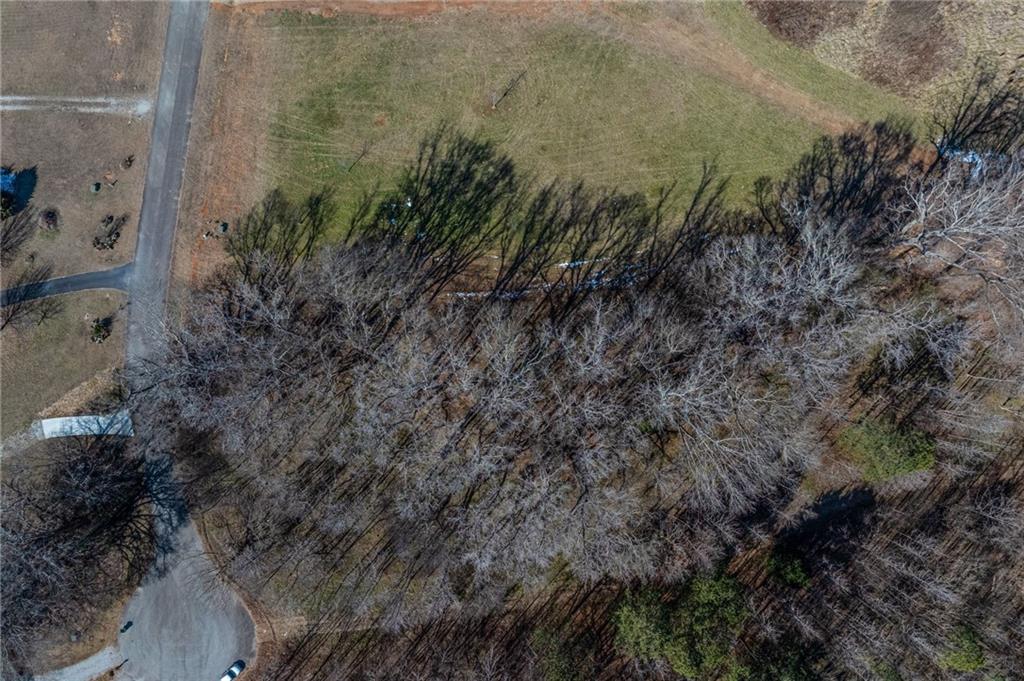 1030 Shoreline Drive Madison, GA 30650 - Photo 14 of 21 a view of a houses with a yard