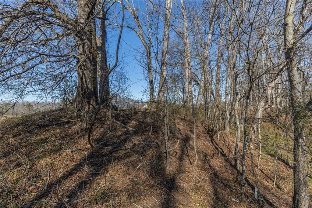 1030 Shoreline Drive Madison, GA 30650 - Photo 16 of 21 a backyard of a house with lots of trees