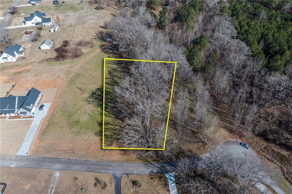 1030 Shoreline Drive Madison, GA 30650 - Photo 3 of 21 a view of a yard with plants