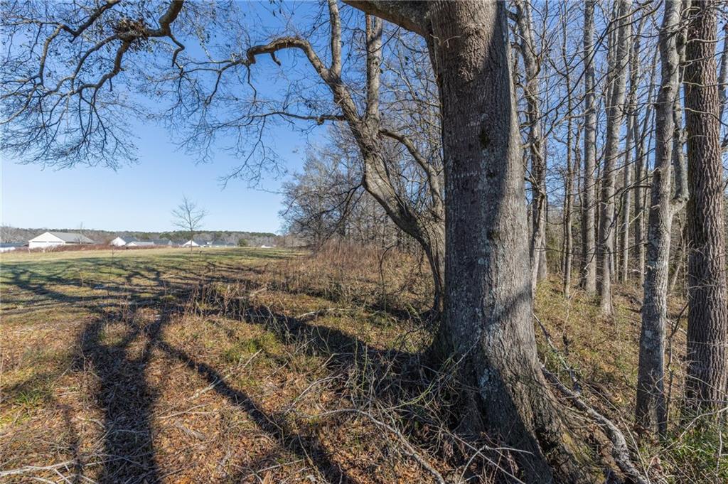 1030 Shoreline Drive Madison, GA 30650 - Photo 5 of 21 a view of a backyard of the house