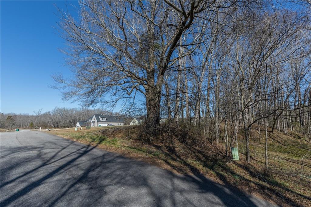 1030 Shoreline Drive Madison, GA 30650 - Photo 10 of 21 a view of a yard with wooden fence