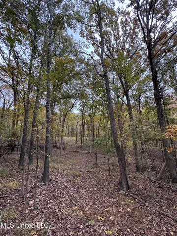 $125,000 | 4322 McIngvale Road, Hernando, MS 38632