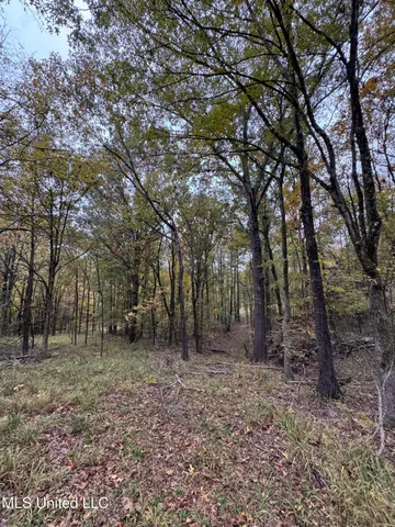 $125,000 | 4322 McIngvale Road, Hernando, MS 38632