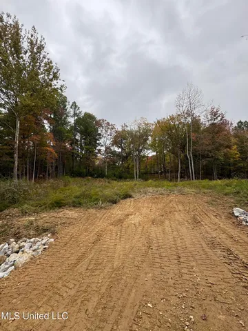 $125,000 | 4322 McIngvale Road, Hernando, MS 38632