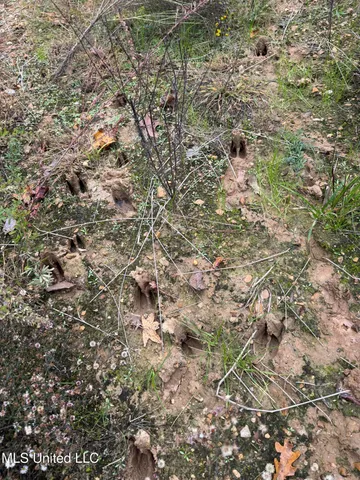 $125,000 | 4322 McIngvale Road, Hernando, MS 38632