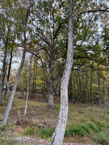 $125,000 | 4322 McIngvale Road, Hernando, MS 38632