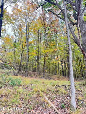 $125,000 | 4322 McIngvale Road, Hernando, MS 38632