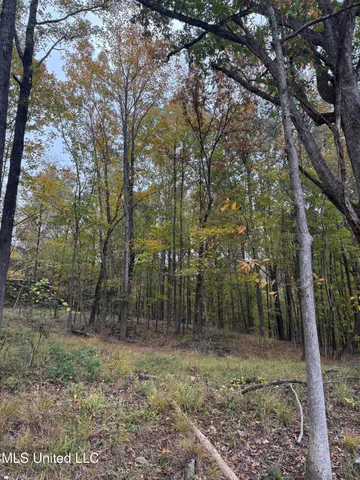 $125,000 | 4322 McIngvale Road, Hernando, MS 38632