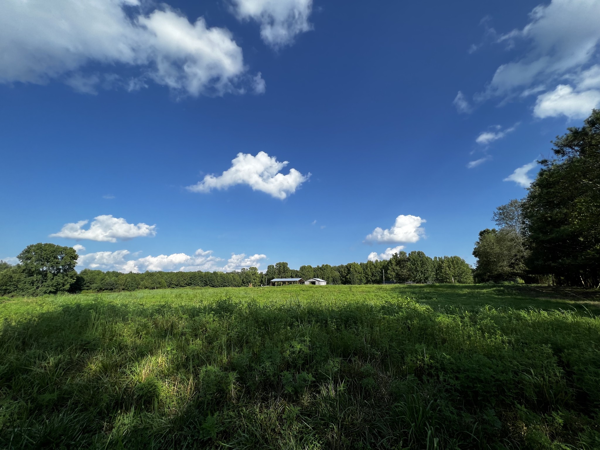 130 White Road Pulaski, TN 38478 - Photo 1 of 30 a view of a golf course with a big yard