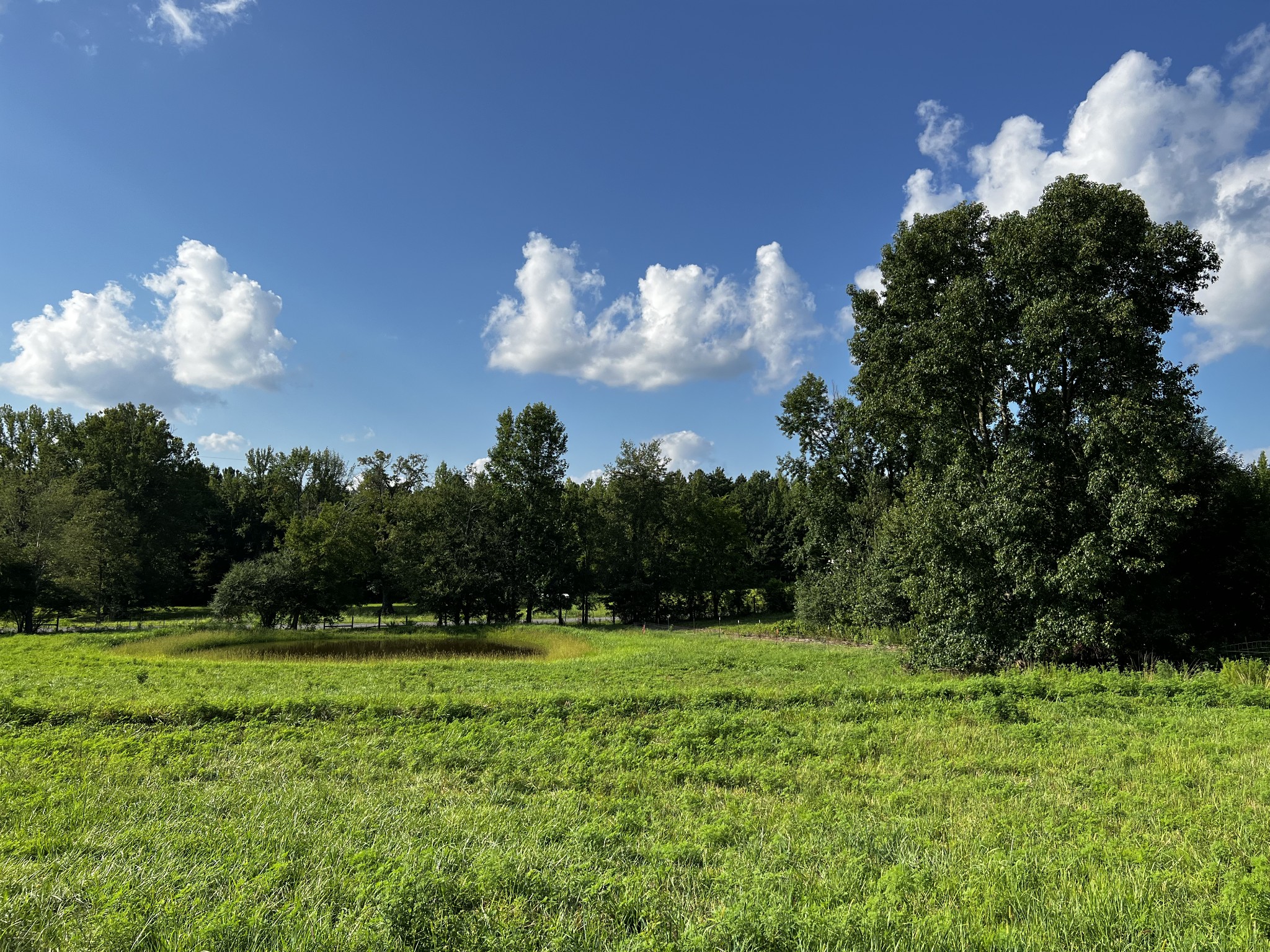 130 White Road Pulaski, TN 38478 - Photo 12 of 30 a view of a golf course
