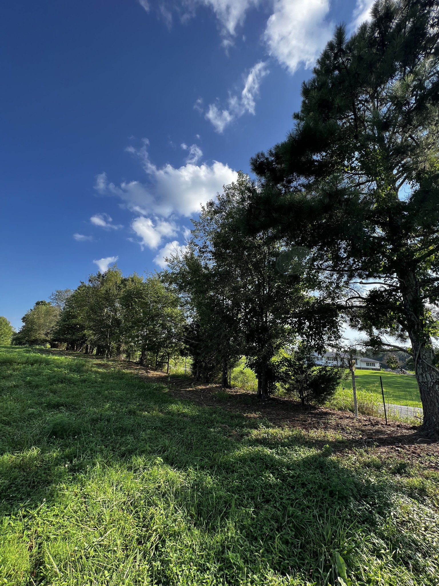 130 White Road Pulaski, TN 38478 - Photo 18 of 30 a view of a park