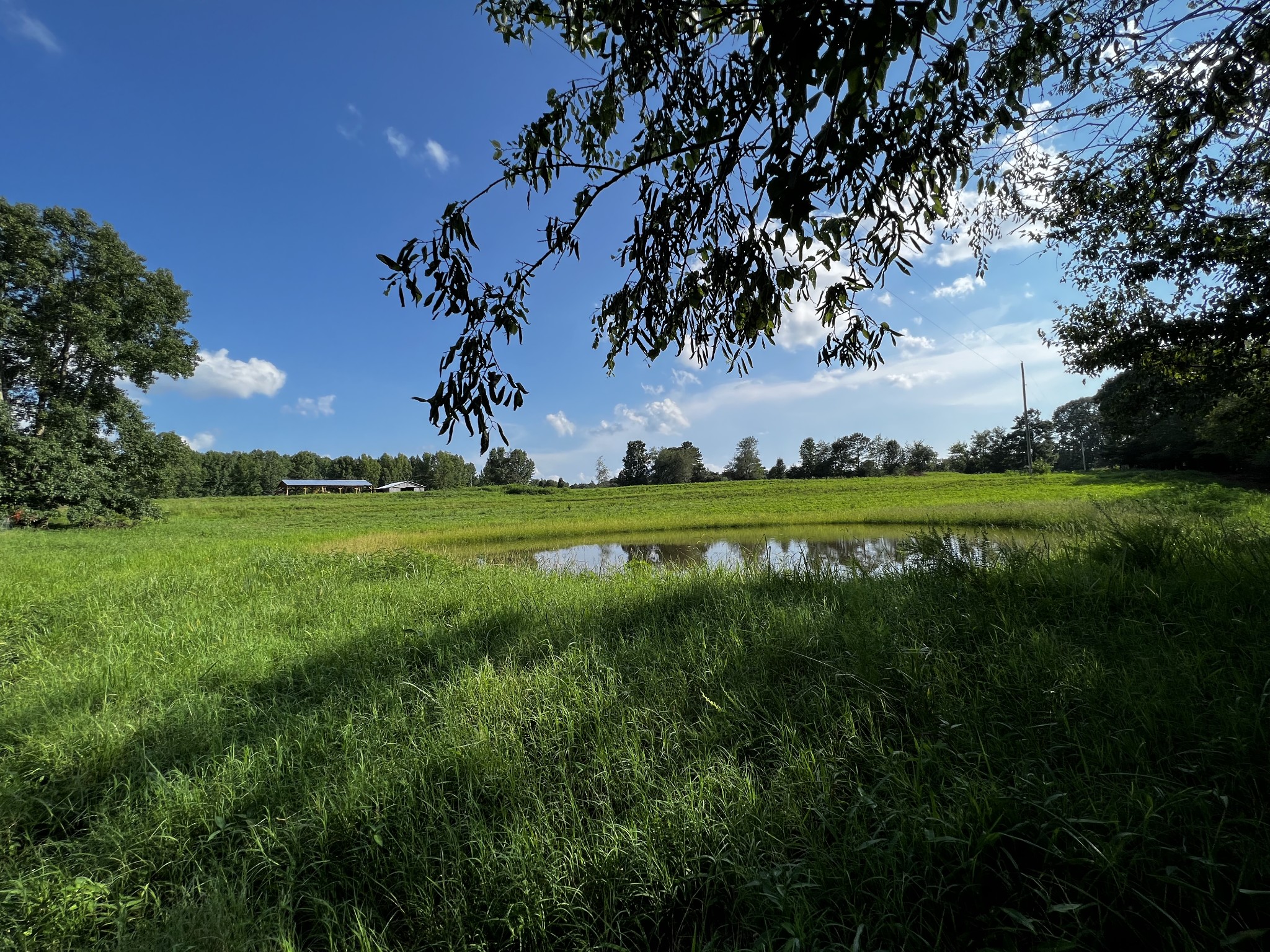 130 White Road Pulaski, TN 38478 - Photo 2 of 30 a view of a golf course with a lake