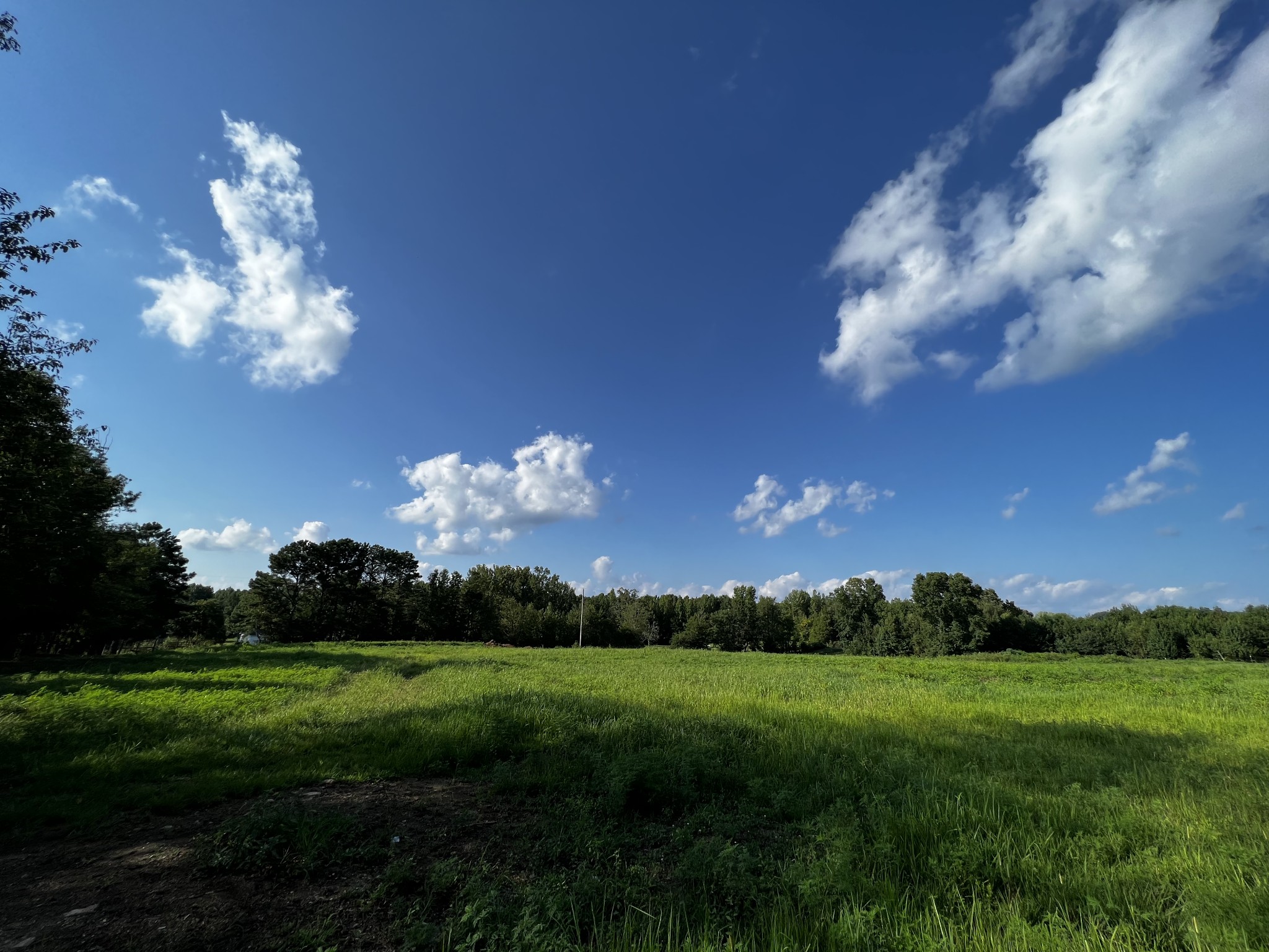 130 White Road Pulaski, TN 38478 - Photo 21 of 30 a view of a green field