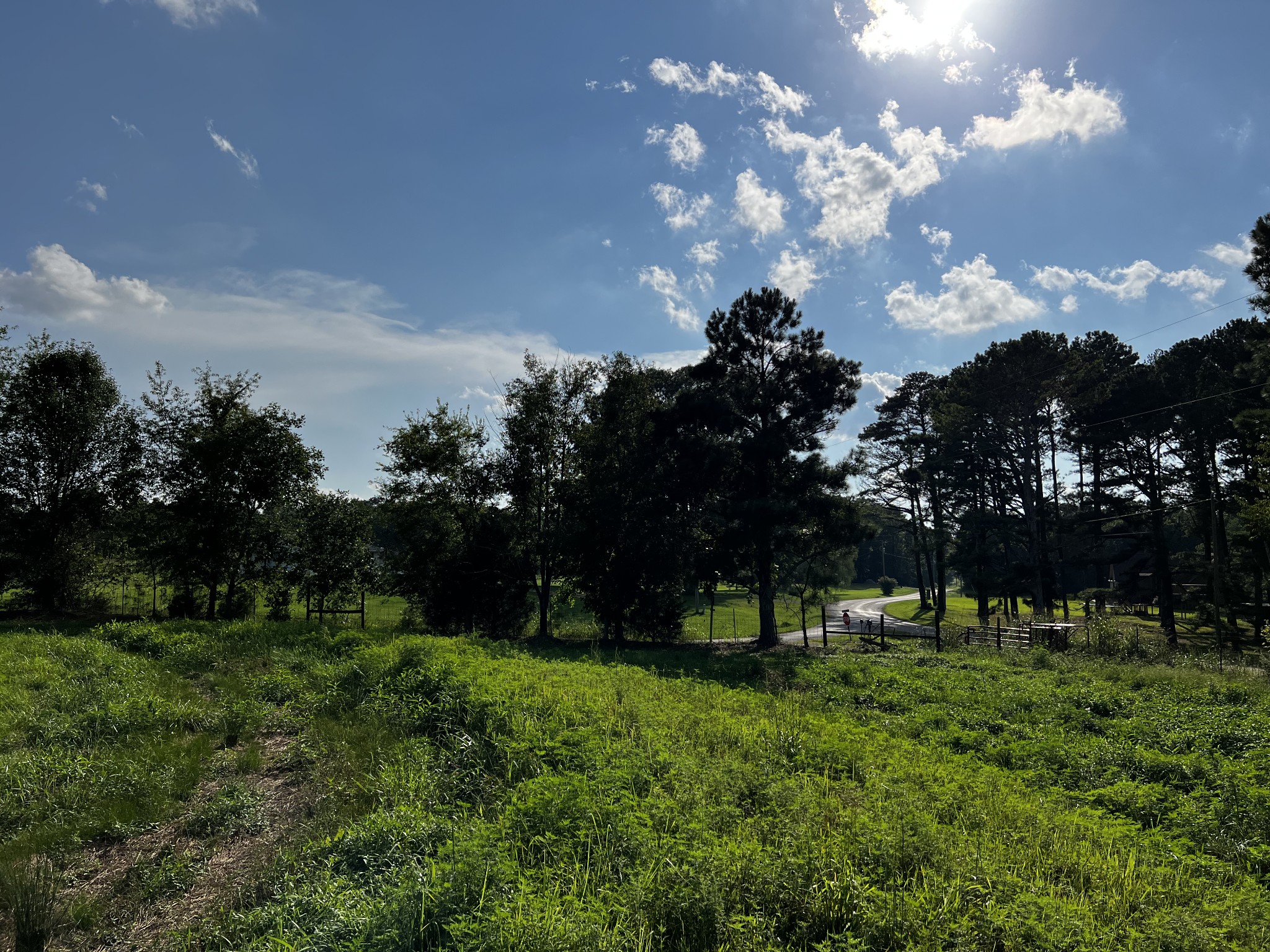 130 White Road Pulaski, TN 38478 - Photo 22 of 30 a view of a park with large trees