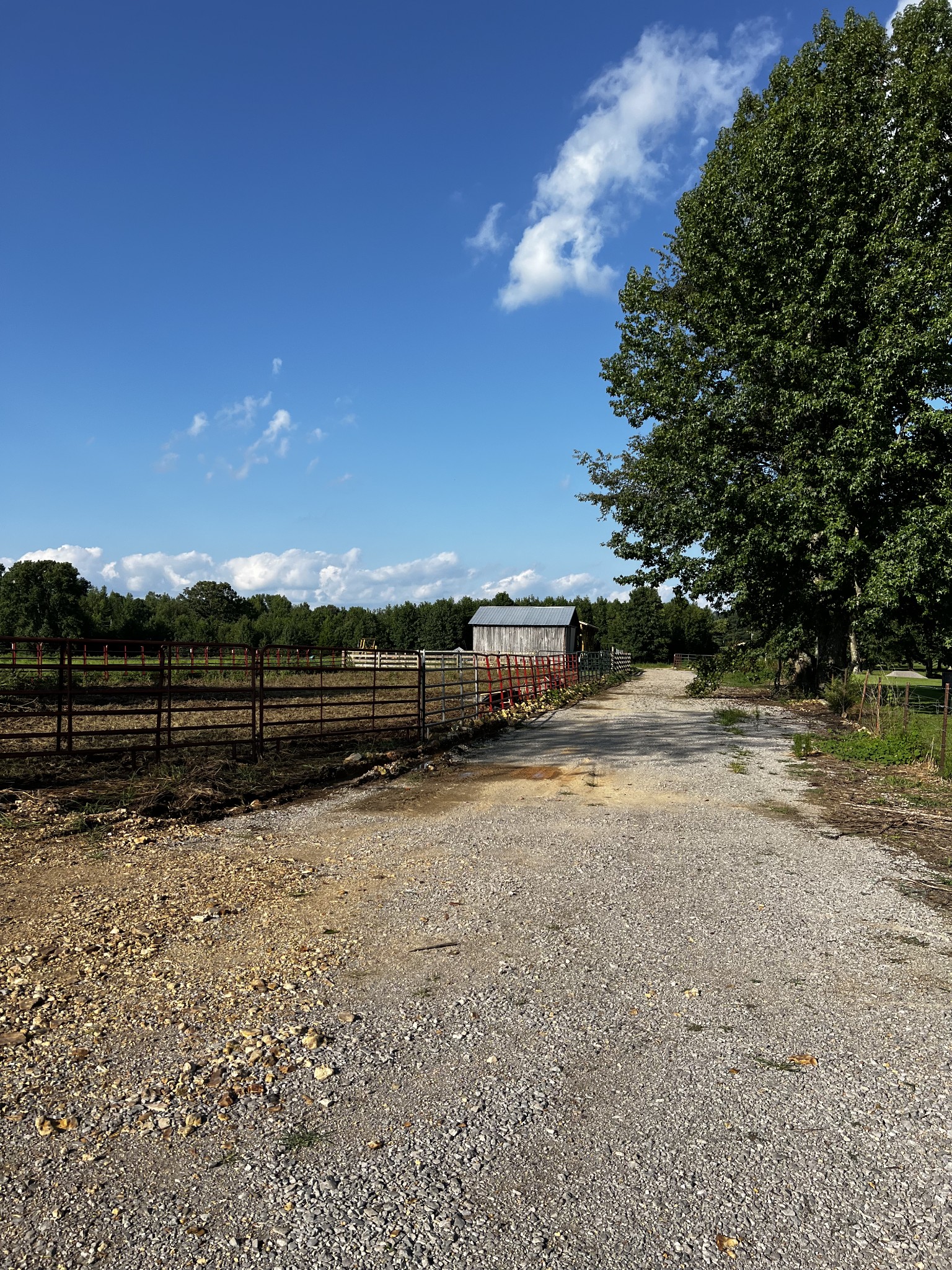 130 White Road Pulaski, TN 38478 - Photo 25 of 30 a view of backyard with wooden fence and trees