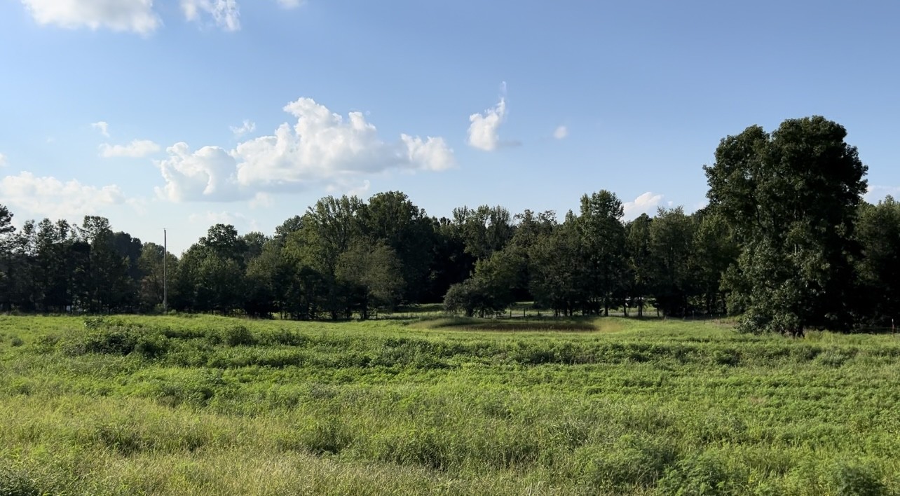 130 White Road Pulaski, TN 38478 - Photo 29 of 30 a view of outdoor space with green field and trees around