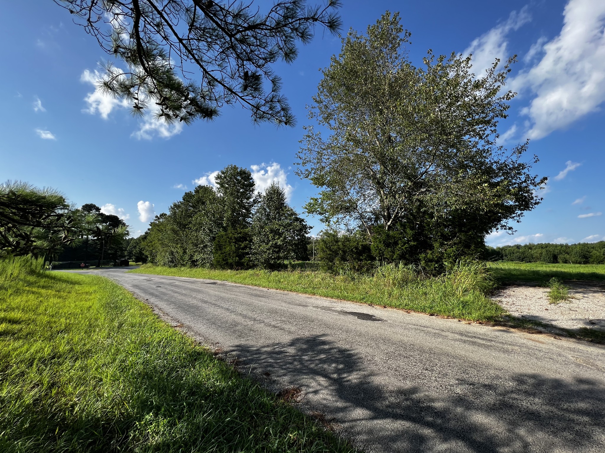 130 White Road Pulaski, TN 38478 - Photo 5 of 30 a view of a street with a yard