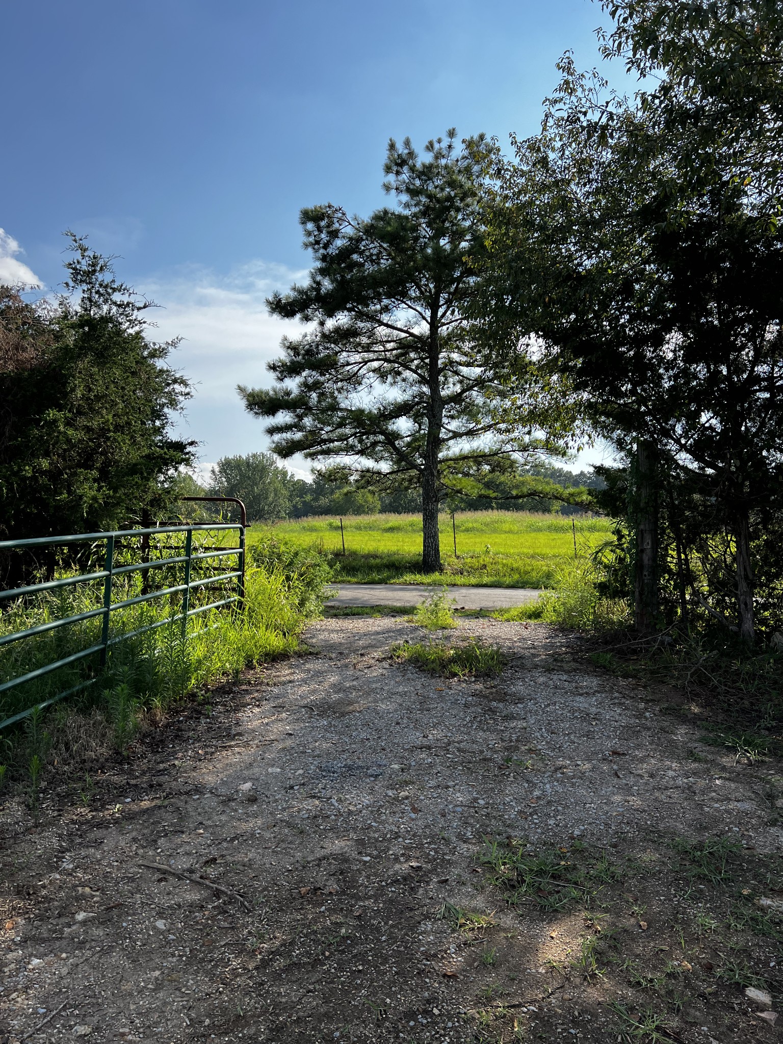 130 White Road Pulaski, TN 38478 - Photo 9 of 30 a view of a park