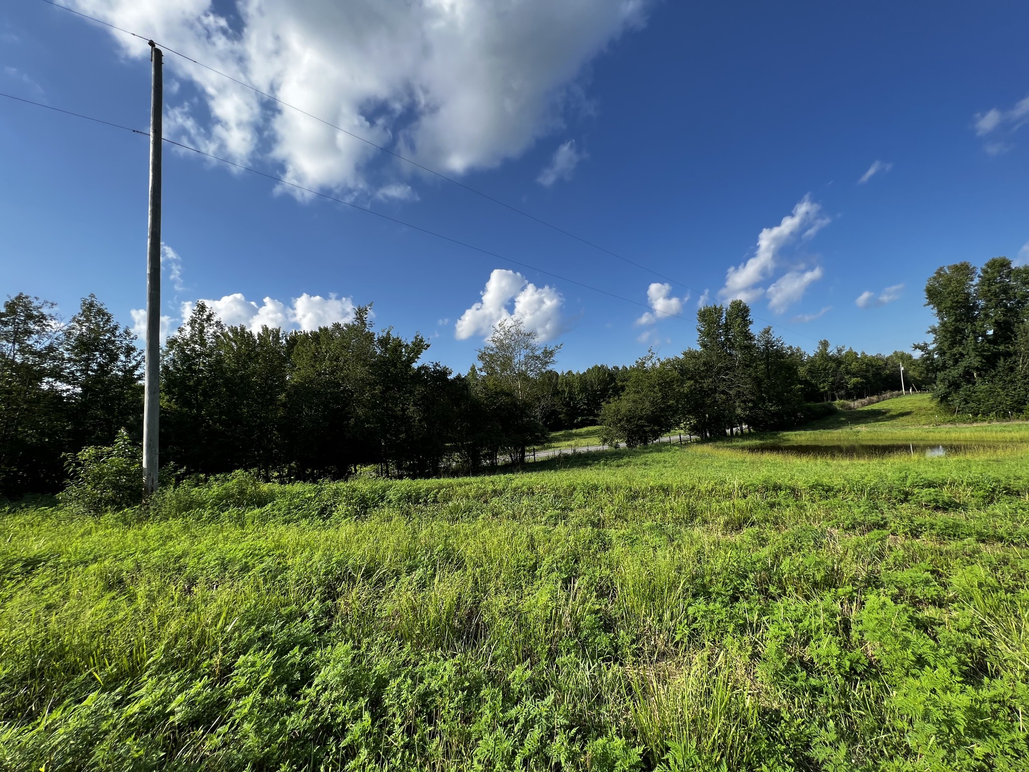 130 White Road Pulaski, TN 38478 - Photo 10 of 30 a view of a golf course with green space