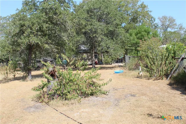a view of yard with trees