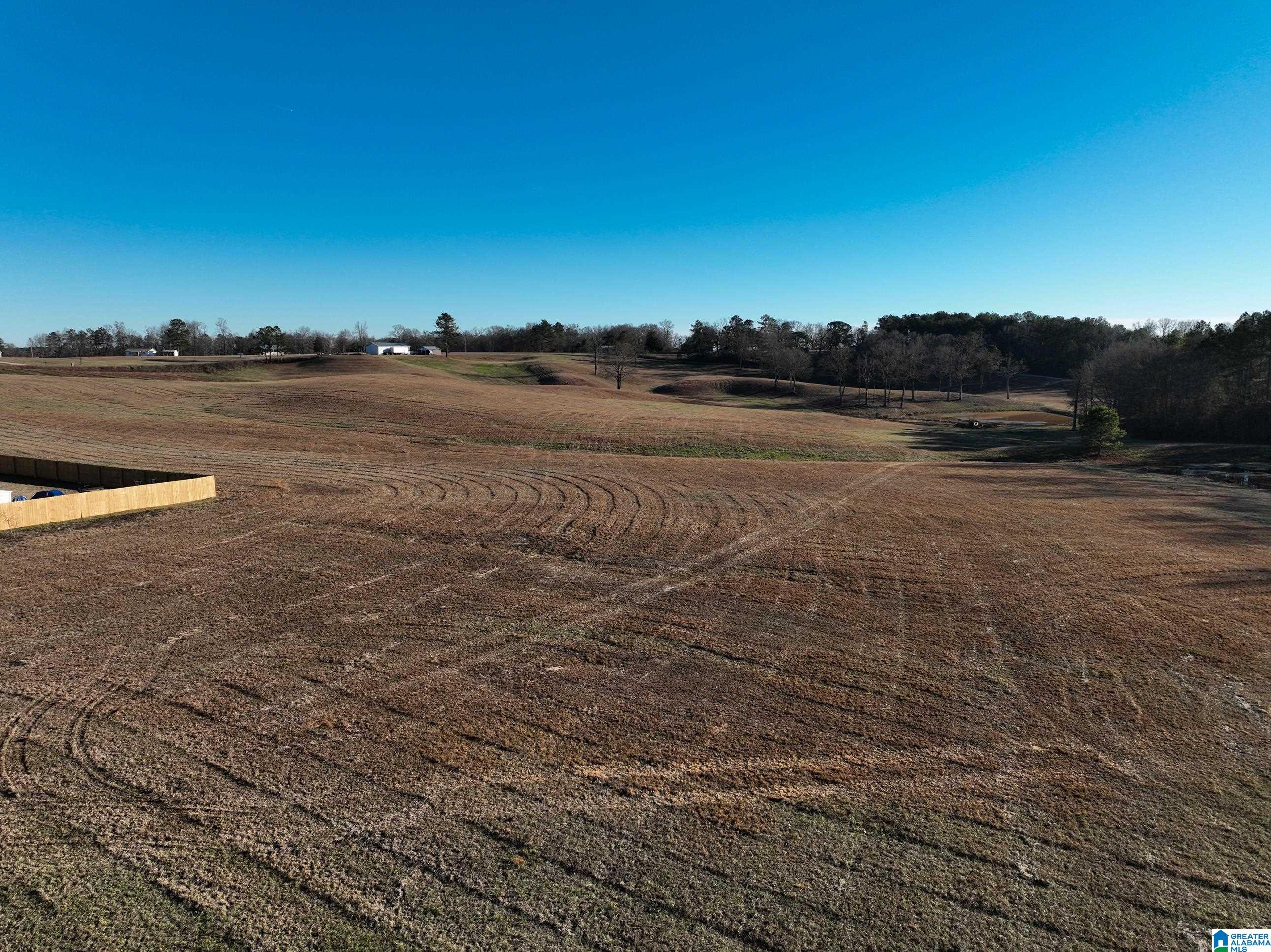 0 Old West Road Thorsby, AL 35171 - Photo 3 of 7