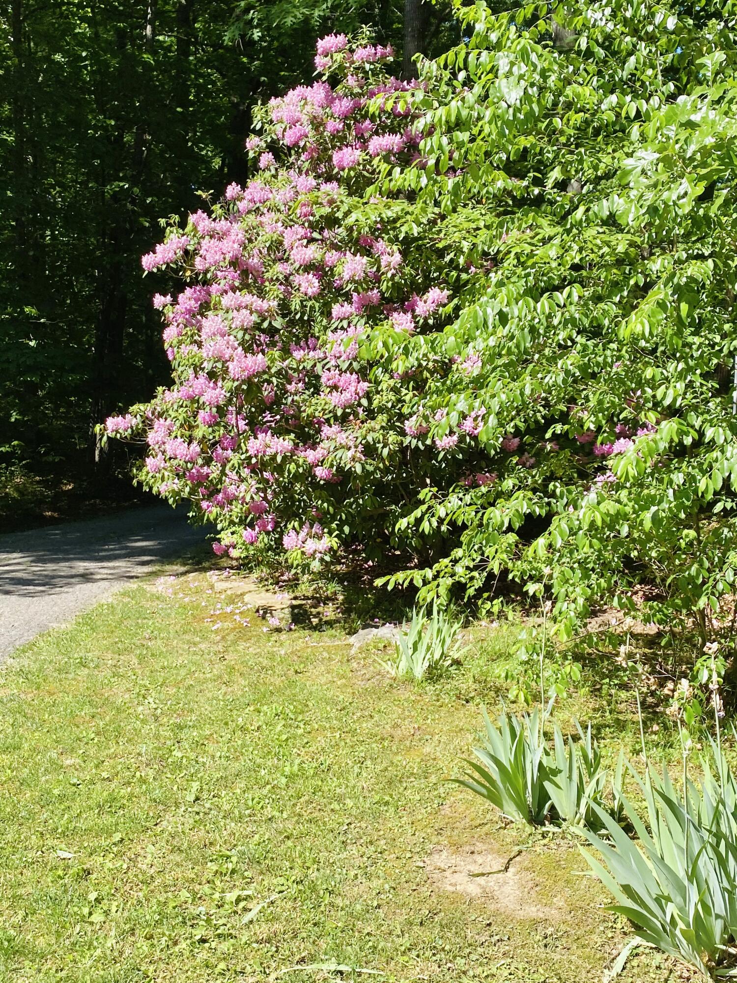 200 Jackson Fariston Road London, KY 40744 - Photo 5 of 47 147AA2F0-7507-4FCF-B4A8-C8466864D164