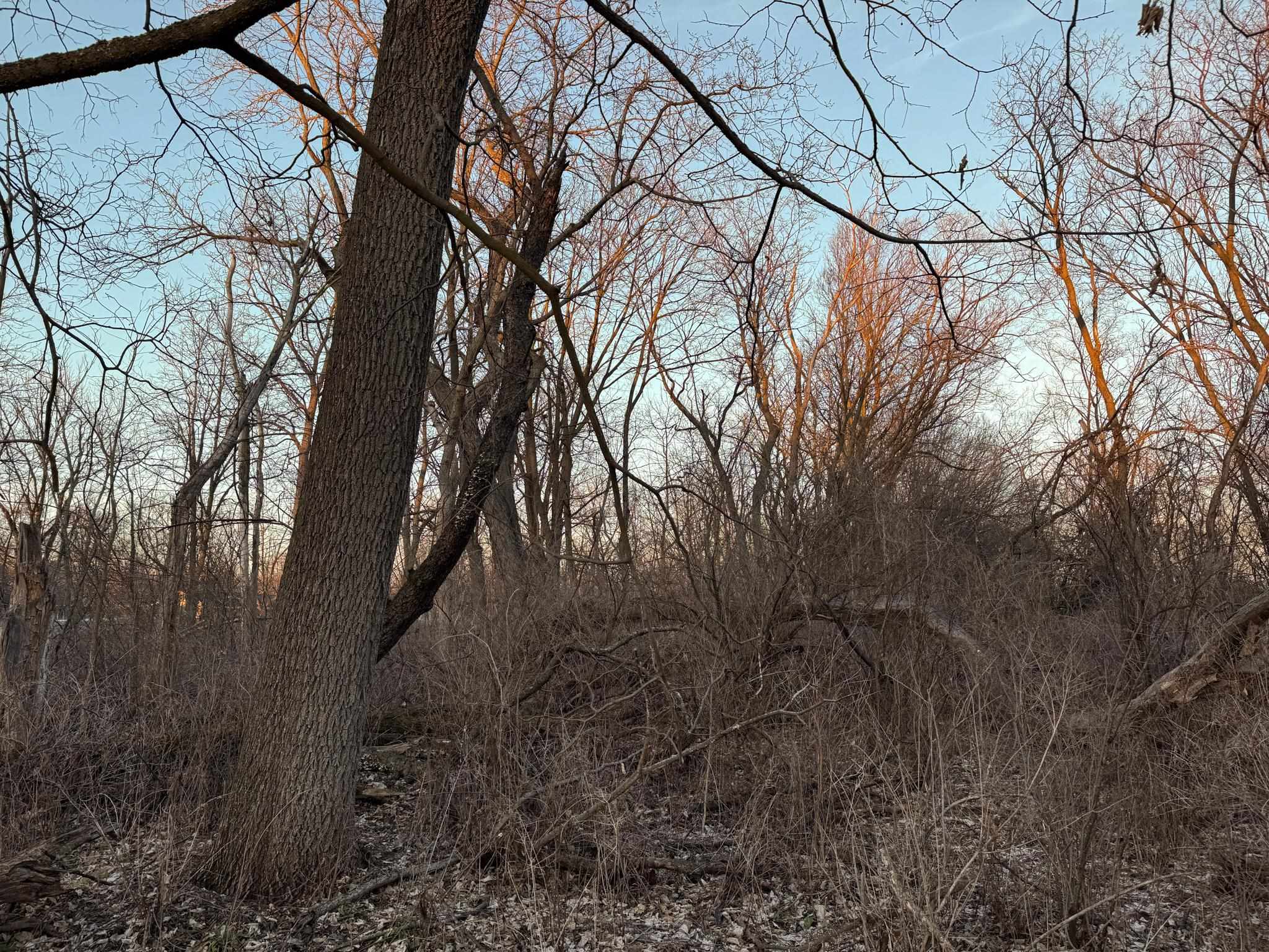 Lot 2 South Afton Beloit, WI 53511 - Photo 11 of 37
